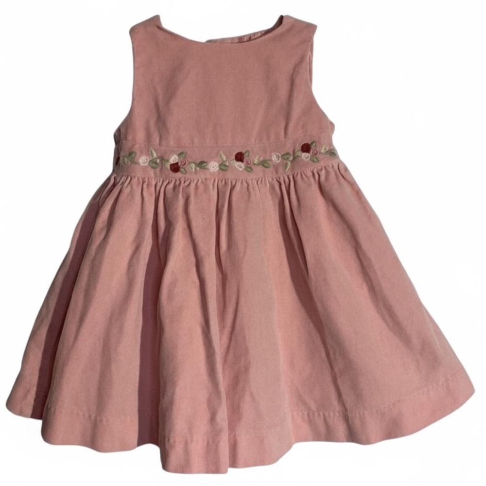 GYMBOREE Ballet Pink Velvet Floral Embroidered Baby Dress
